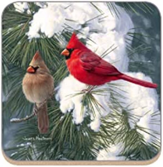 The Christmas Bird | Kristi's Morning Devotional